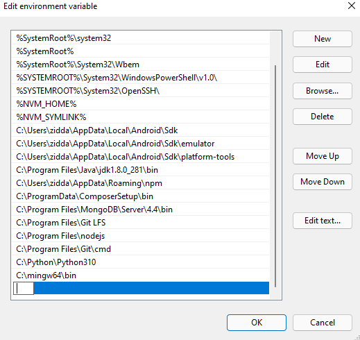 new environment variable