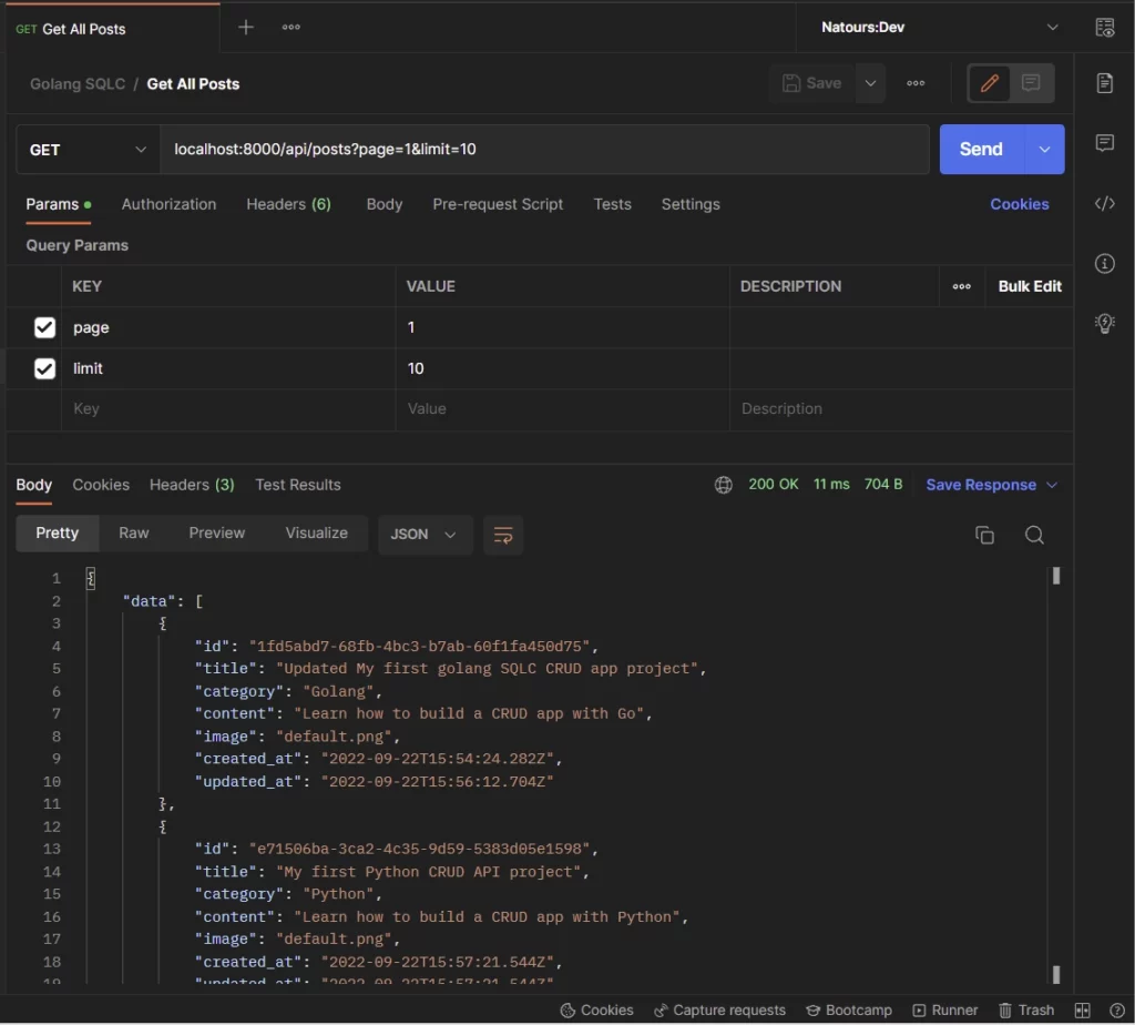 golang sqlc postgres crud api get all records