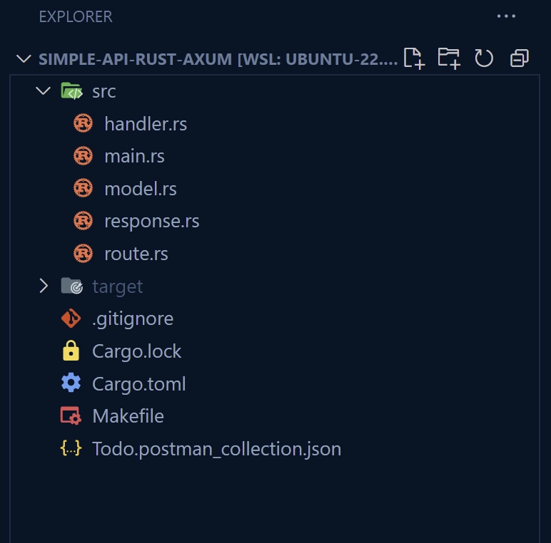 Folder and File Structure of the Simple Axum API Project